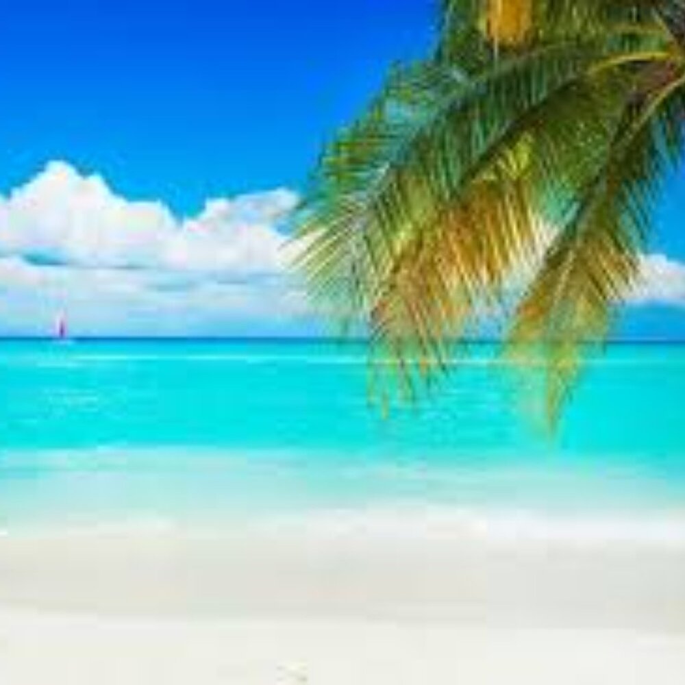 Meet your Posher, Tiffi